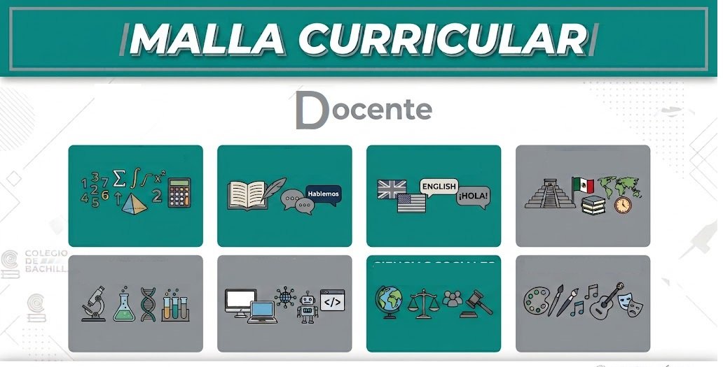 Mapa curricular docentes